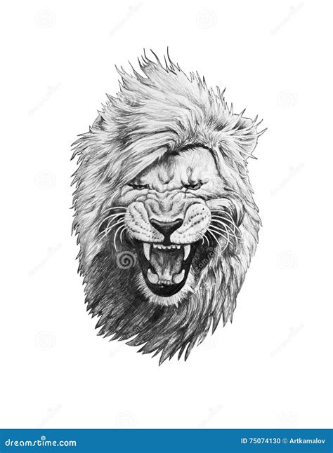 Pencil Drawing Lion Face - pencildrawing2019