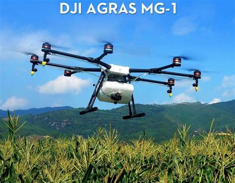 Top 5 Best Agricultural Drones Recommended by Experts | Agriculture ...