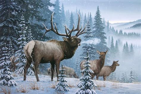 Storm's End - Rocky Mountain Elk | Wildlife art, Hunting art, Deer painting