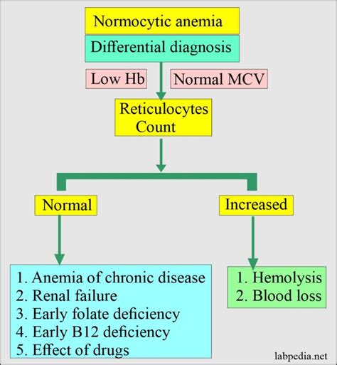 Anemia:- Part 1 – Anemia Classification, Diagnosis, and Routine Work up – Labpedia.net