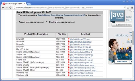 Java se development kit 10 32bit - pastorwestern