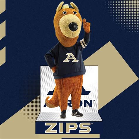 March Madness | University of Akron's beloved Zippy mascot immortalized with new bobblehead ...