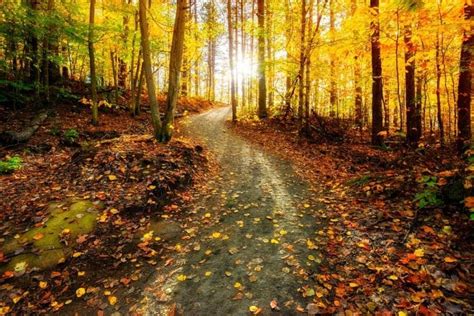 3 Amazing Outdoor Smoky Mountain Activities for the Fall Season