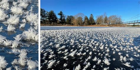 Hoar frost on Illinois lake showcases winter's beauty | Fox Weather