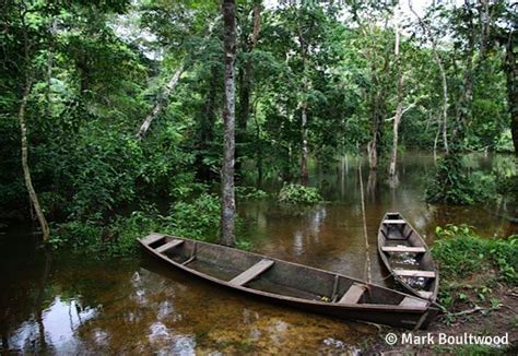 Uncover Colombia - Colombia Amazon Tour | Amazon rainforest, Colombia ...