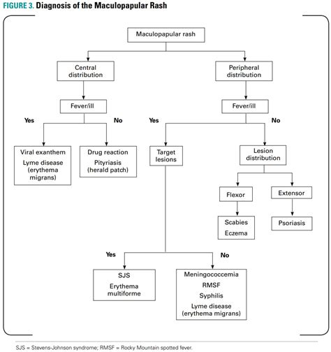 Papular Rash Differential