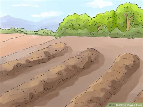 5 Ways to Plow a Field - wikiHow