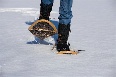 12 Best Snowshoeing Spots in Montreal