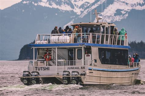 The Best Alaska Cruise Excursions at Each Port - Simply Wander