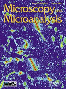 Microscopy and Microanalysis: Volume 22 - Issue 5 | Cambridge Core