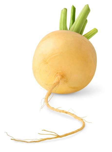 Premium Photo | Raw yellow turnip isolated on white space