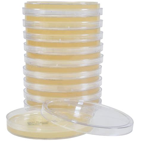 90mm Nutrient Agar Plates (Pack of 10)