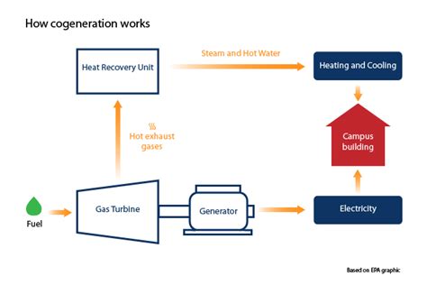 Cogeneration: A bridge to the future | MIT News | Massachusetts Institute of Technology