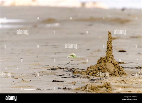 Sand composition on the beach Stock Photo - Alamy