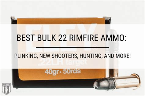 Best Bulk 22 Rimfire Ammo Chosen by Experts at Ammo.com