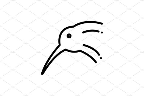 Kiwi bird icon | Illustrator Graphics ~ Creative Market