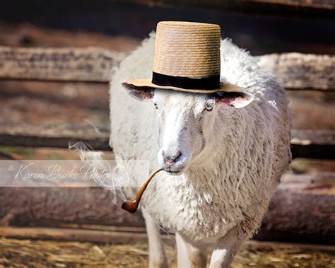 Sheep Portrait Funny Sheep Straw Hat Pipe Smoke Funny - Etsy