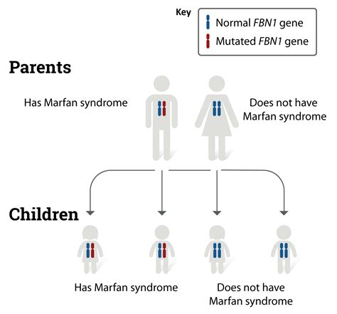 Marfan Syndrome Pedigree Chart