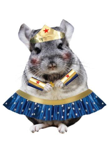 Pin on Chinchilla Costumes