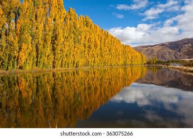 31,508 New Zealand Autumn Images, Stock Photos & Vectors | Shutterstock