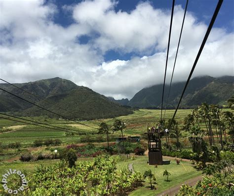 Ziplining in Maui