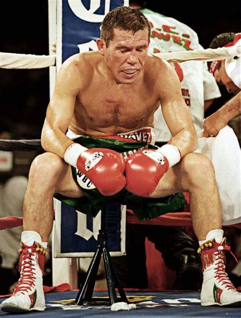 Julio César Chávez's Memorable Knockout in 2024