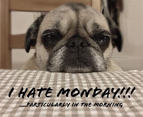 Hate work monday meme | Gary Poste