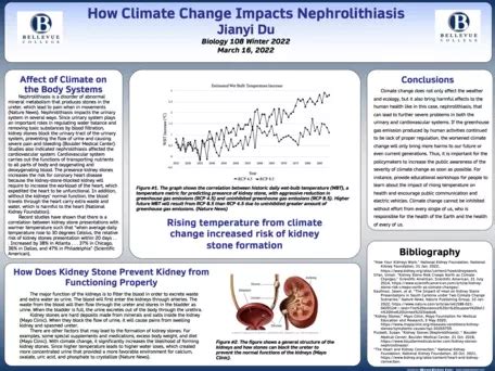 Investigating Climate Change Impacts on Human Health with a Civic Lens