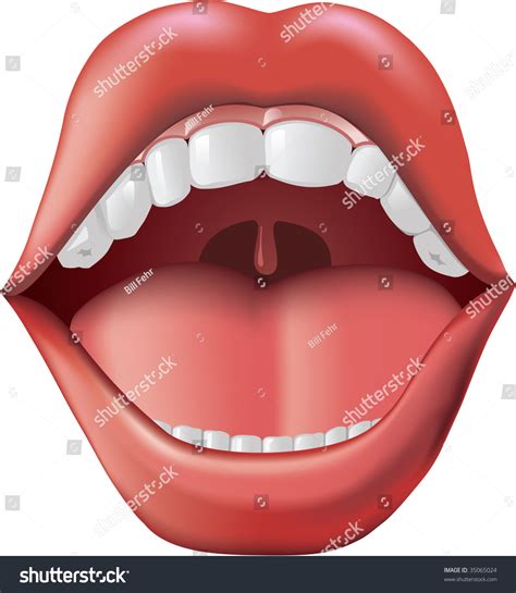 Open Mouth Tongue Sticking Out Adobe Stock Illustration 35065024 ...