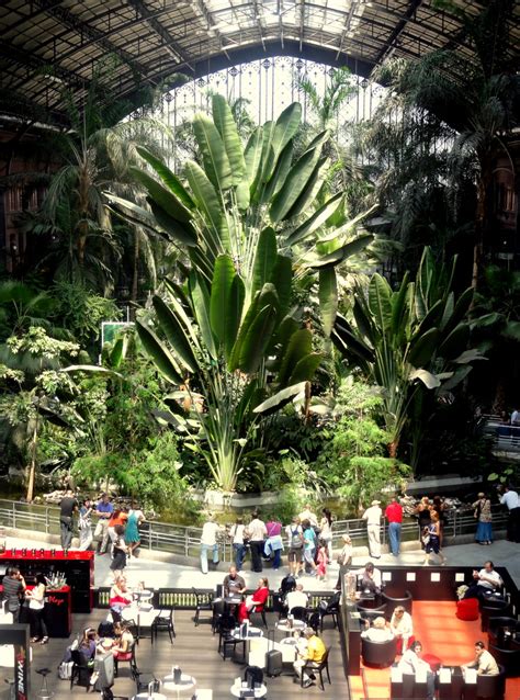 Madrid Atocha Railway Station and its Tropical Garden | Travel and Lifestyle Diaries - Just ...