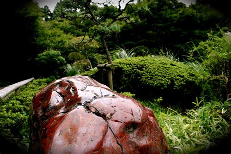 Zen Garden, Tokyo | Taken in Tokyo, Japan, in 2007 Zen Garde… | Flickr