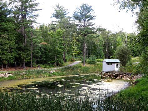 Frog Pond - Historic Saranac Lake - LocalWiki