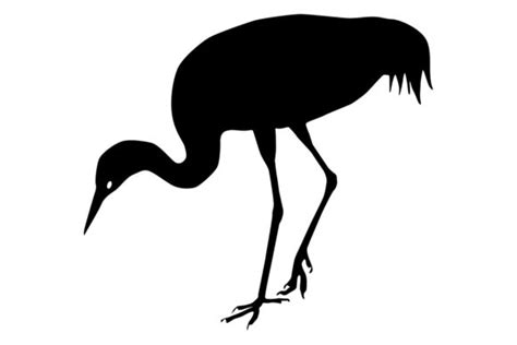 Sandhill Crane Bird Silhouette Graphic by iDrawSilhouettes · Creative Fabrica