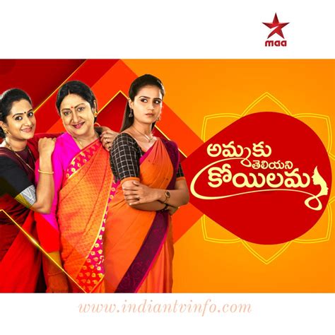 Hotstar Telugu Shows - Watch Star Maa Channel Serials And Shows Latest ...