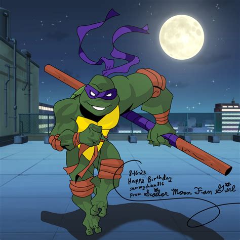 Donatello TMNT 2003 TV Show — Weasyl