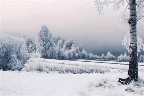 Sweden Snow Wallpapers - Top Free Sweden Snow Backgrounds - WallpaperAccess