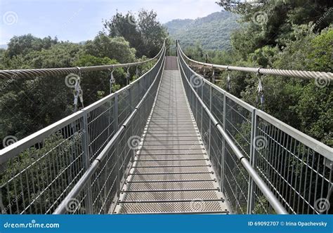 Suspension Bridge Over the Ravine Stock Image - Image of tree, modern: 69092707