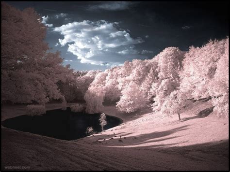 Valley Infrared Photography 29