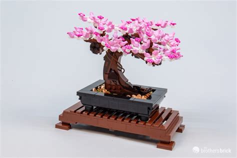 LEGO Botanical Collection 10281 Bonsai Tree - TBB Review-6CY86-38 - The ...