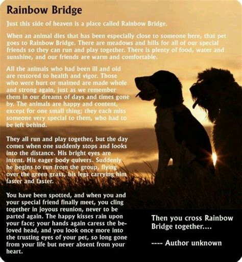 Rainbow Bridge Dog Poem Printable - Printable Templates