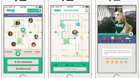 On-demand dog walking app launches in Seattle | Seattle Refined