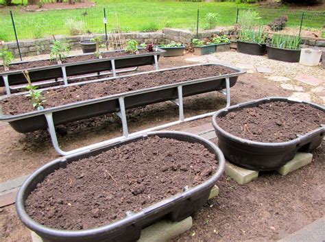 My original container garden using feeder troughs. | Container gardening, Gardening for dummies ...