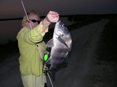 Mosquito Lagoon & Indian River Fishing: Indian River Salt Marsh Fishing