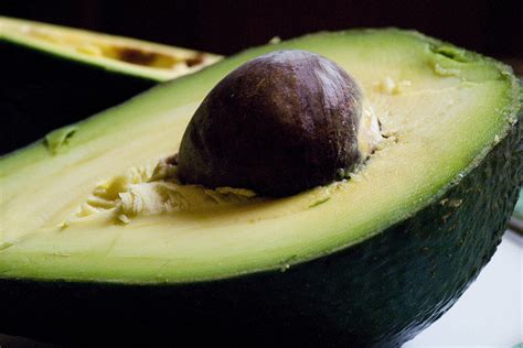 Are Avocados Bad For Dogs? What do the experts say?