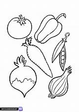 Vegetable Coloring Pages  Bestcoloringpagesnet sketch template