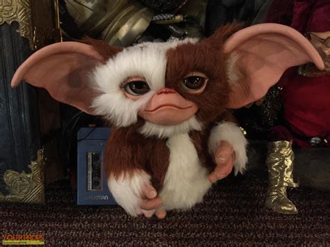 10 Latest Pictures Of Gizmo From Gremlins FULL HD 1080p For PC ...