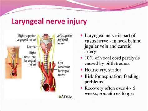 PPT - Trauma during birth PowerPoint Presentation, free download - ID ...