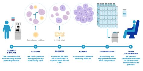 NK Cells Treatment in Cancun, Mexico │Cellular Hope