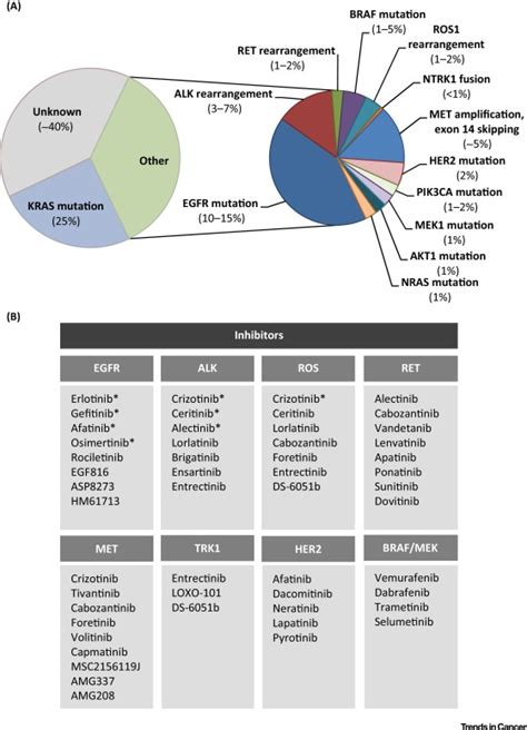 Resisting Resistance: Targeted Therapies in Lung Cancer: Trends in Cancer