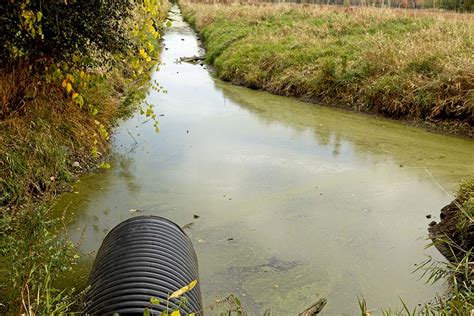 Top Questions about Agricultural Runoff